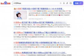 小旋风下载站群日收秒排泛程序-不限行业
