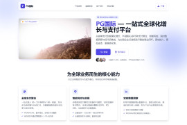 谷歌必应AI站群系统V5.1程序-BC必做